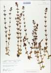 TTRS_000009154-thumbnail.jpg