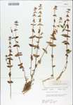 TTRS_000009156-thumbnail.jpg