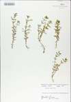 TTRS_000009162-thumbnail.jpg