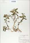 TTRS_000009163-thumbnail.jpg