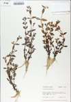 TTRS_000009164-thumbnail.jpg