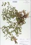 TTRS_000009166-thumbnail.jpg
