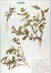TTRS_000009167-thumbnail.jpg