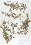 TTRS_000009168-thumbnail.jpg