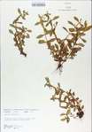 TTRS_000009169-thumbnail.jpg