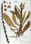 TTRS_000009260-thumbnail.jpg