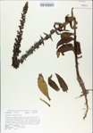 TTRS_000009261-thumbnail.jpg
