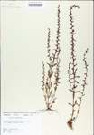 TTRS_000009273-thumbnail.jpg