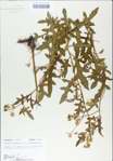 TTRS_000009314-thumbnail.jpg