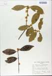 TTRS_000009389-thumbnail.jpg