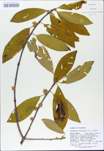 TTRS_000009390-thumbnail.jpg