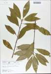 TTRS_000009392-thumbnail.jpg