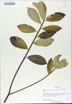 TTRS_000009395-thumbnail.jpg