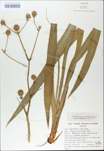 TTRS_000009552-thumbnail.jpg