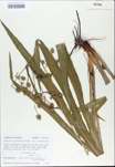 TTRS_000009557-thumbnail.jpg