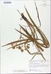 TTRS_000009561-thumbnail.jpg