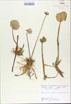 TTRS_000009566-thumbnail.jpg