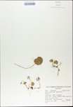 TTRS_000009567-thumbnail.jpg