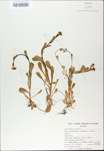 TTRS_000009643-thumbnail.jpg