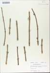TTRS_000009651-thumbnail.jpg