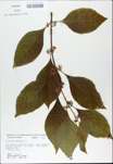 TTRS_000009655-thumbnail.jpg