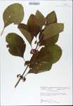 TTRS_000009656-thumbnail.jpg