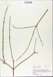 TTRS_000009657-thumbnail.jpg