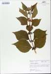 TTRS_000009658-thumbnail.jpg