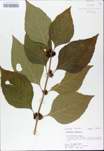 TTRS_000009659-thumbnail.jpg