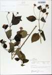 TTRS_000009671-thumbnail.jpg