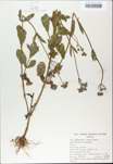 TTRS_000009698-thumbnail.jpg