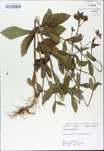 TTRS_000009700-thumbnail.jpg