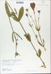 TTRS_000009701-thumbnail.jpg