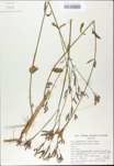 TTRS_000009703-thumbnail.jpg