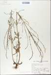 TTRS_000009706-thumbnail.jpg