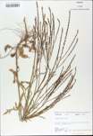 TTRS_000009707-thumbnail.jpg