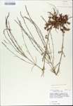 TTRS_000009709-thumbnail.jpg