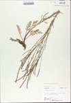 TTRS_000009710-thumbnail.jpg