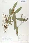 TTRS_000009711-thumbnail.jpg