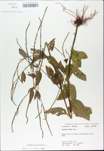TTRS_000009716-thumbnail.jpg