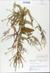 TTRS_000009718-thumbnail.jpg