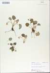 TTRS_000009783-thumbnail.jpg