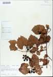 TTRS_000009834-thumbnail.jpg