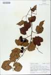 TTRS_000009837-thumbnail.jpg