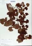 TTRS_000009842-thumbnail.jpg