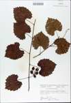 TTRS_000009843-thumbnail.jpg