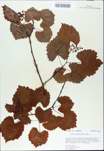 TTRS_000009846-thumbnail.jpg
