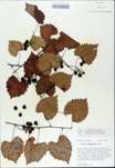 TTRS_000009848-thumbnail.jpg