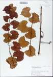 TTRS_000009851-thumbnail.jpg