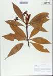 TTRS_000009864-thumbnail.jpg